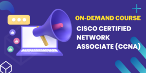 Cisco Certified Network Associate (CCNA)